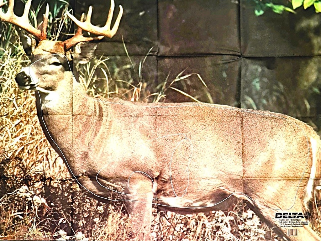 Tierbild Whitetail Deer 401 Delta