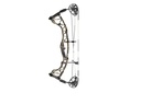 Compound Torrex Camo Hoyt