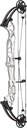 Compound Concept X 37 Hoyt (RH, Polar White, 50-60lbs)