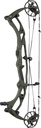 Compound RX-10 Ultra Hoyt