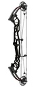 Compound Concept X FX Hoyt