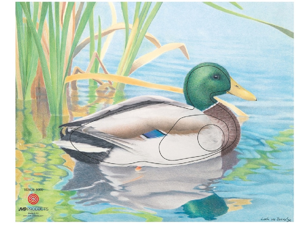 Tierbild Duck