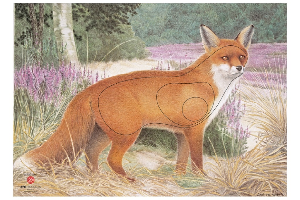 Tierbild Fuchs