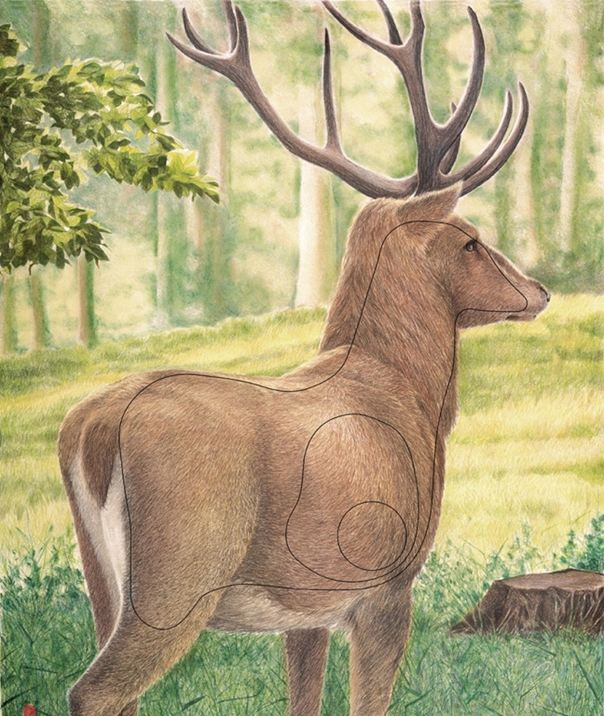 Tierbild grosser Hirsch