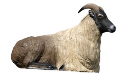 Tahr Himalayan liegend SRT