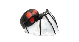 Spinne SRT